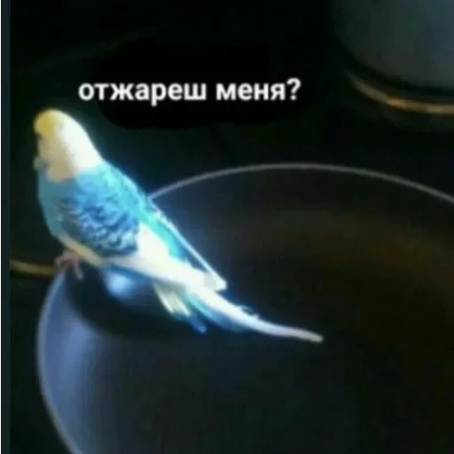 Просто стикер — 21
