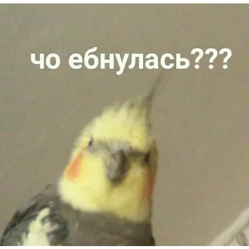 Просто стикер — 35