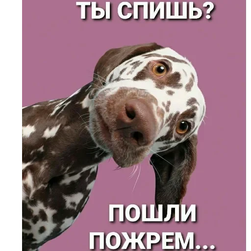 Просто стикер — 38