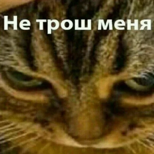 Просто стикер — 5