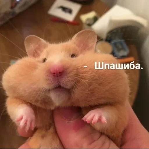 Просто стикер — 6