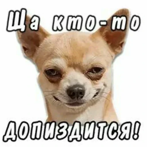 Просто стикер — 52