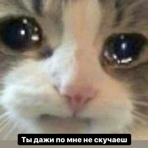 Просто стикер — 7