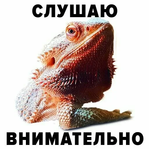 Просто стикер — 10
