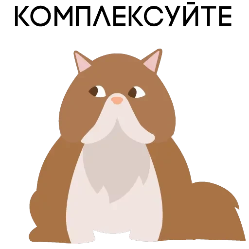 psy onerucom — 13