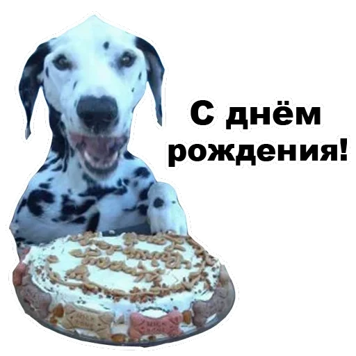 Псы — 39