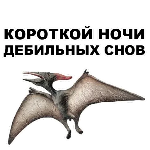 Pterodactyl — 11