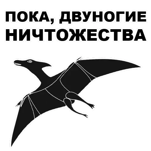 Pterodactyl — 12