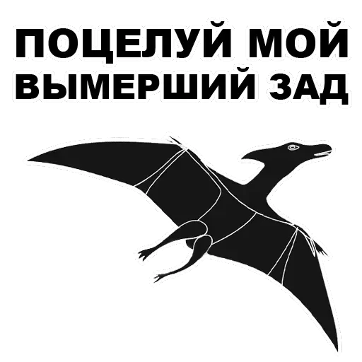 Pterodactyl — 13