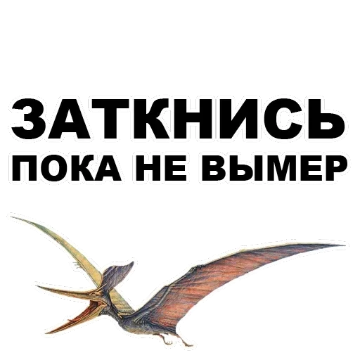 Pterodactyl — 14