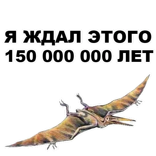 Pterodactyl — 15