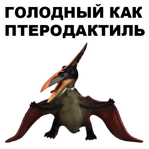Pterodactyl — 19