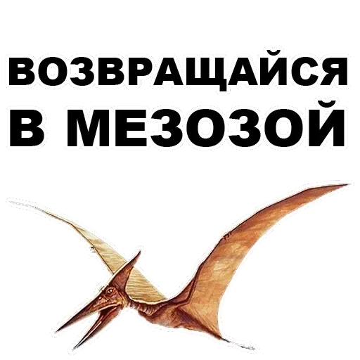 Pterodactyl — 20