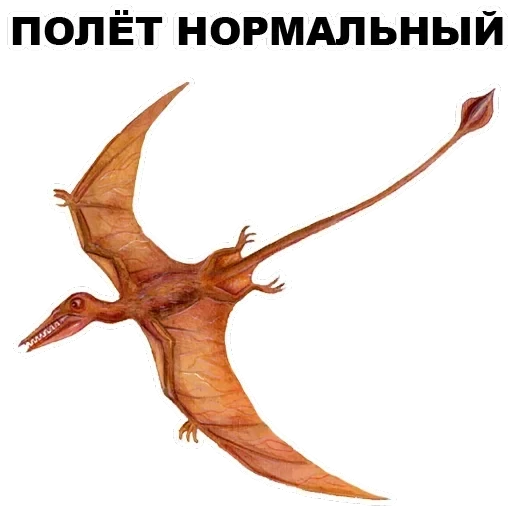 Pterodactyl — 21