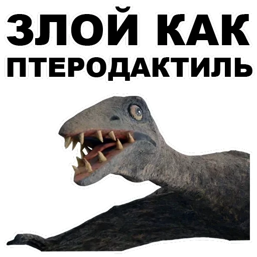 Pterodactyl — 22