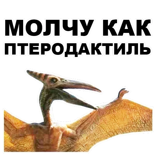 Pterodactyl — 28