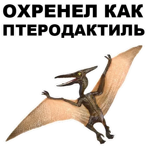 Pterodactyl — 4