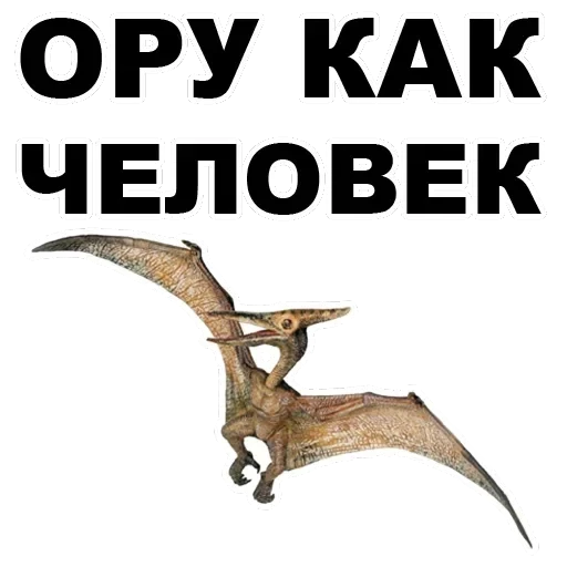 Pterodactyl — 5