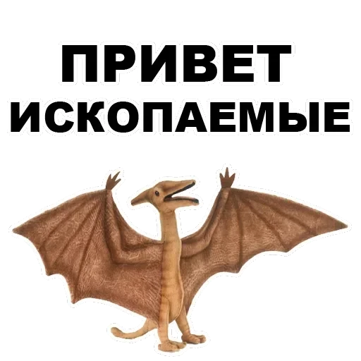 Pterodactyl — 6