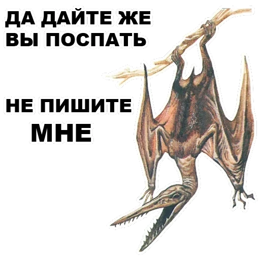 Pterodactyl — 7