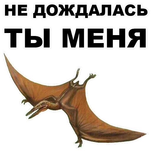 Pterodactyl — 9