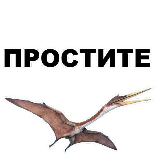 Pterodactyl — 10