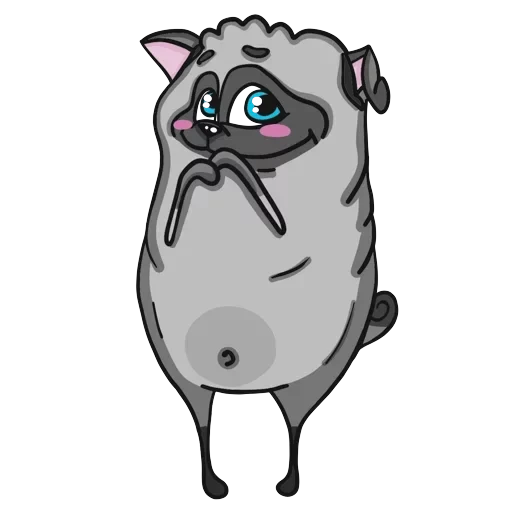 Pug — 13