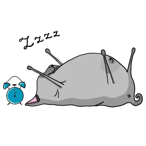 Pug — 17