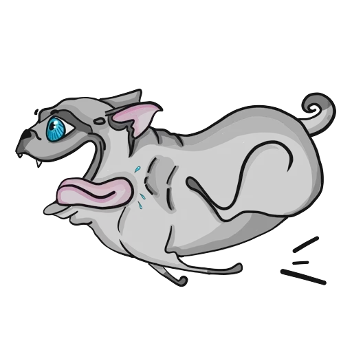 Pug — 7