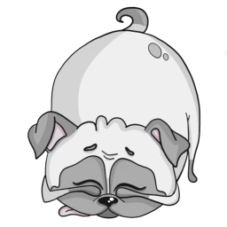 Pug