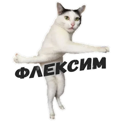 Пушистые Пидоры 2 — 2