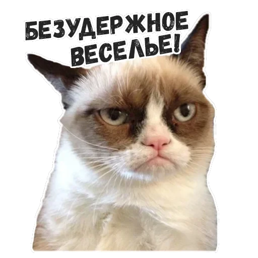Пушистые Пидоры 2 — 13