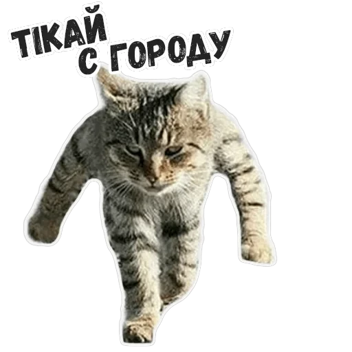Пушистые Пидоры 2 — 14