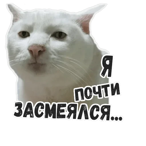 Пушистые Пидоры 2 — 17