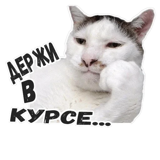 Пушистые Пидоры 2 — 18