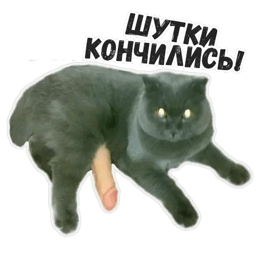 Пушистые Пидоры 2 — 3