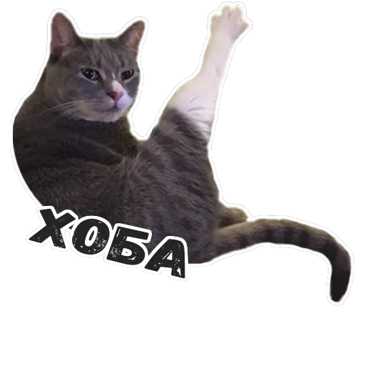 Пушистые Пидоры 2 — 21