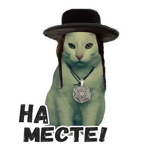 Пушистые Пидоры 2 — 24