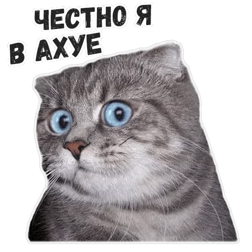 Пушистые Пидоры 2 — 4