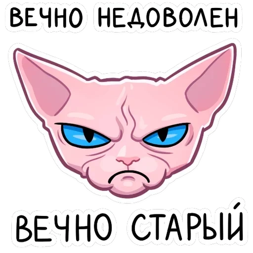 Рамзес — 17