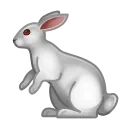 𑄝 рандом пак от ^—^ — 36