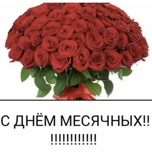 рашен хуяшен. — 12