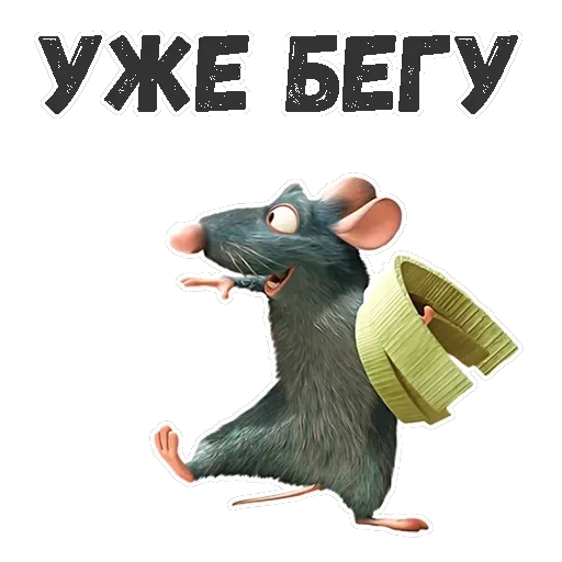 Рататуй — 17