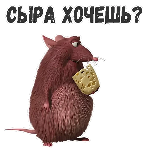 Рататуй — 23