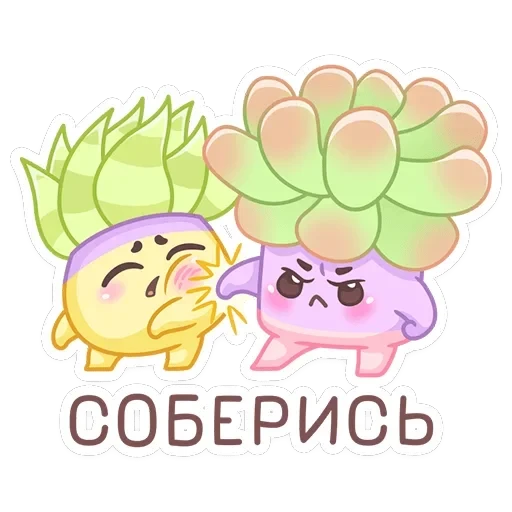 Роуз, Фло, Брю — 19