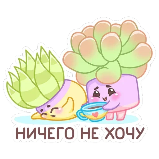 Роуз, Фло, Брю — 40