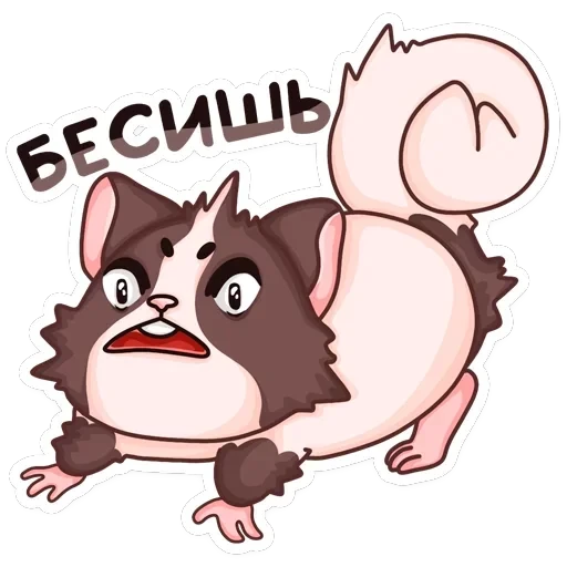 Руди — 15