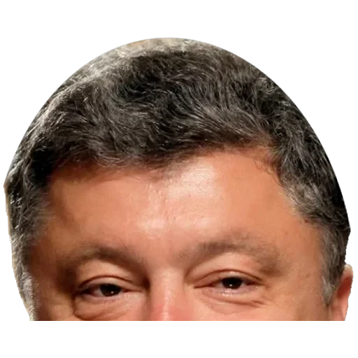 Russian Politics — 2