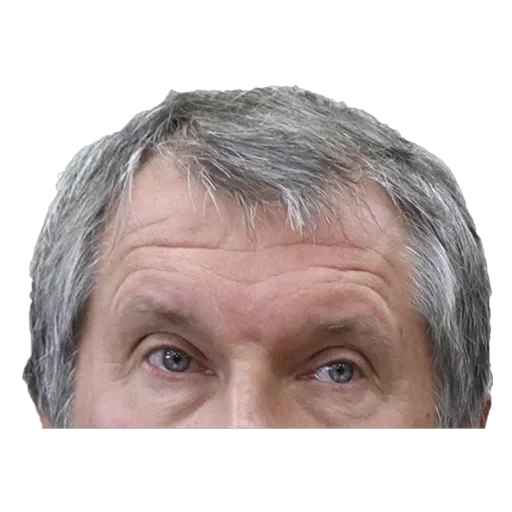 Russian Politics — 11