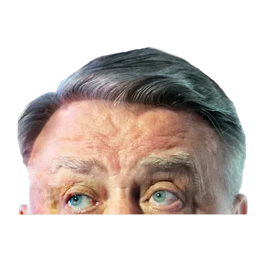 Russian Politics — 13